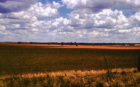 img0798-2-Edit