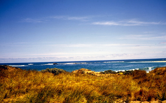 img0856-2-Edit