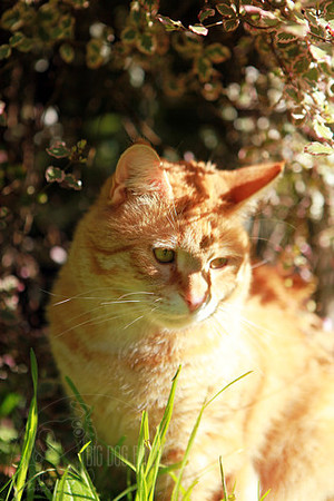 IMG_1107